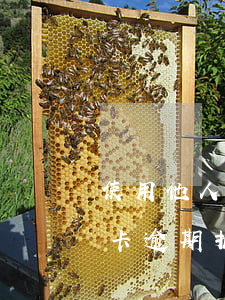 使用他人信用卡逾期拒不還款 使用他人信用卡逾期拒不還款