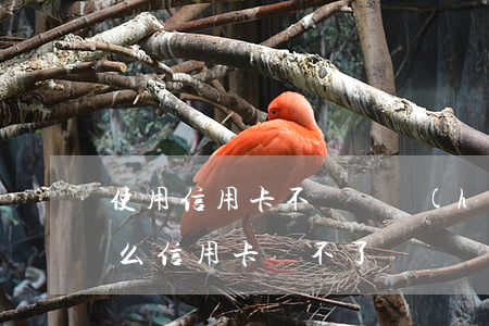使用信用卡不還錢會(huì)怎么樣(為什么信用卡還不了錢)