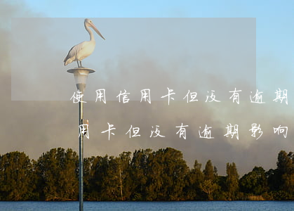 使用信用卡但没有逾期影响房贷吗吗（使用信用卡但没有逾期影响房贷吗）