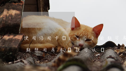 使用信用卡無(wú)逾期可房貸(信用卡逾期想用房本貸款可以嗎)