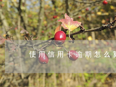 使用信用卡逾期怎么算(信用卡怎樣算逾期)