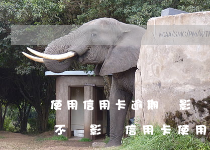 使用信用卡逾期會影響個人征信(征信逾期會不會影響信用卡使用)