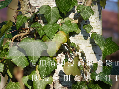 使用借呗没逾期会影响征信评估吗-使用借呗没逾期会影响征信评估吗知乎