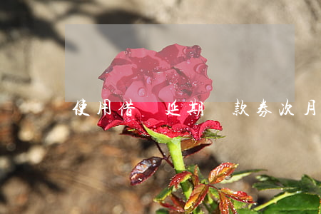 使用借唄延期還款券次月怎么還-