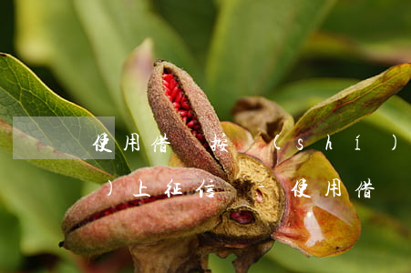 使用借唄按時(shí)還款還會(huì)上征信嗎-使用借唄按時(shí)還款還會(huì)上征信嗎知乎