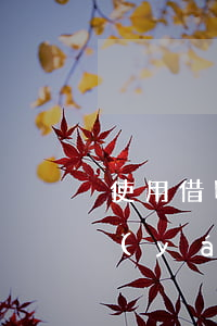 使用借唄頻繁但從未逾期(借唄逾期了半年嚴(yán)重嗎)