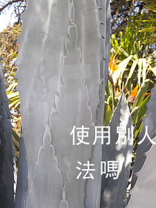 使用別人信用卡惡意透支(透支別人信用卡犯法嗎)