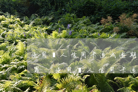使用別人信用卡造成逾期構(gòu)成何罪-使用別人信用卡造成逾期構(gòu)成何罪行