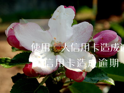 使用別人信用卡造成逾期銀行起訴-使用別人信用卡造成逾期銀行起訴怎么辦