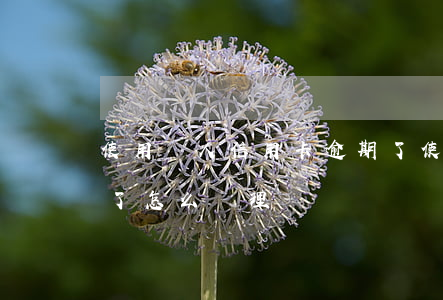 使用別人信用卡逾期了 使用別人信用卡逾期了怎么處理