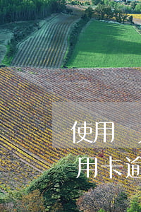 使用別人的信用卡逾期-如果別人用我的信用卡逾期了我還能貸款嗎