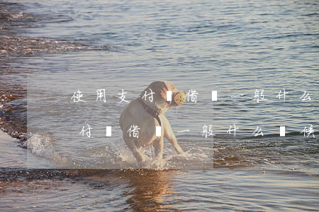 使用支付寶借唄一般什么時候還款-使用支付寶借唄一般什么時候還款啊