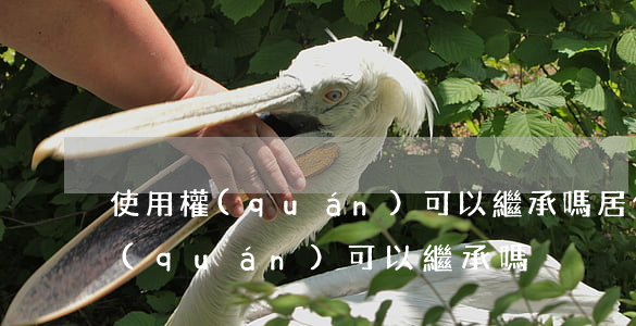 使用權(quán)可以繼承嗎(居住使用權(quán)可以繼承嗎)