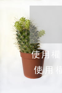 使用權(quán)房子繼母和我怎么繼承(使用權(quán)房屋繼承)