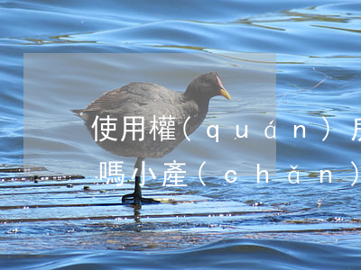 使用權(quán)房產(chǎn)繼承嗎(小產(chǎn)權(quán)房的使用權(quán)可以繼承嗎)