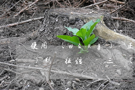 使用網(wǎng)貸正常還款會(huì)影響征信嗎-三個(gè)月不碰網(wǎng)貸就可以了嗎