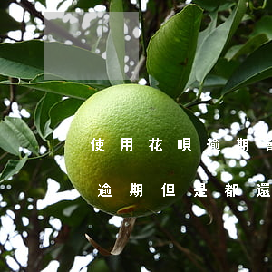 使用花唄逾期會(huì)怎么樣(花唄有過逾期,但是都還了,影響貸款嗎)