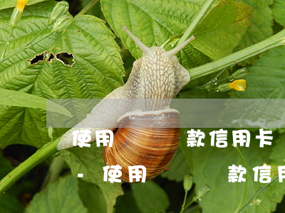 使用還唄還款信用卡額度能恢復(fù)嗎-使用還唄還款信用卡額度能恢復(fù)嗎安全嗎