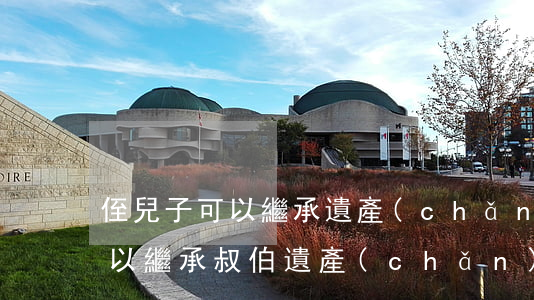 侄兒子可以繼承遺產(chǎn)嗎(侄子可以繼承叔伯遺產(chǎn))