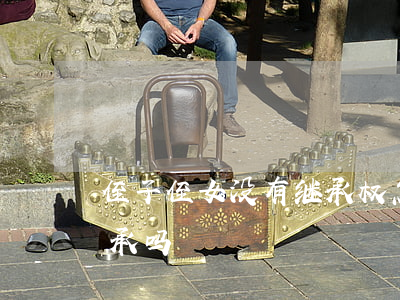 侄子侄女没有继承权怎么办(侄子侄女可以继承吗)