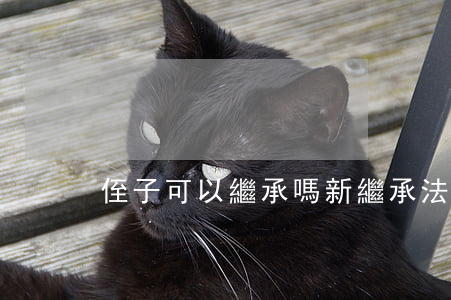 侄子可以繼承嗎(新繼承法侄子可以繼承嗎)