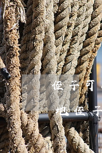 侄子可以繼承土地嗎(農(nóng)村宅基地侄子可以繼承嗎)
