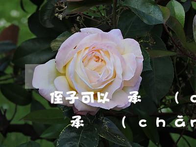 侄子可以繼承遺產(chǎn)嗎(侄子可以繼承遺產(chǎn)嗎)