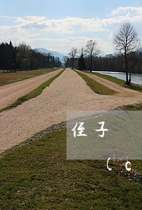 侄子撫養(yǎng)的五保戶可以繼承遺產(chǎn)嗎(侄子可以繼承五保戶叔叔的遺產(chǎn)嗎)