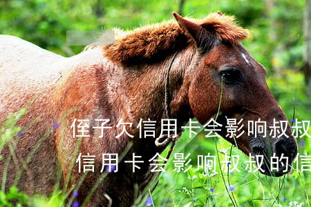 侄子欠信用卡会影响叔叔的信用么-侄子欠信用卡会影响叔叔的信用么吗