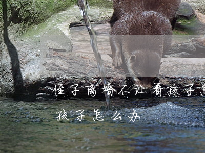 侄子离婚不让看孩子怎么办(离婚之后不让看孩子怎么办)