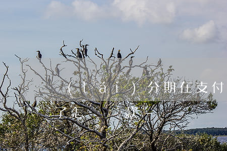 來(lái)分期在支付寶沒(méi)有了怎樣還款-