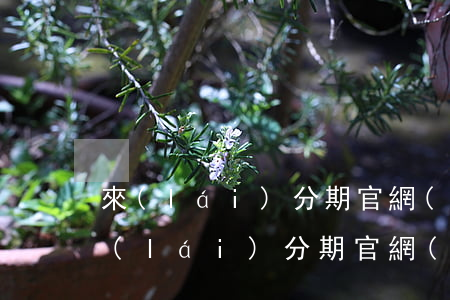 來(lái)分期官網(wǎng)還款(來(lái)分期官網(wǎng)還款)