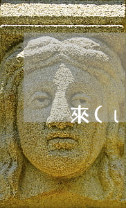 來(lái)分期已欠半年
