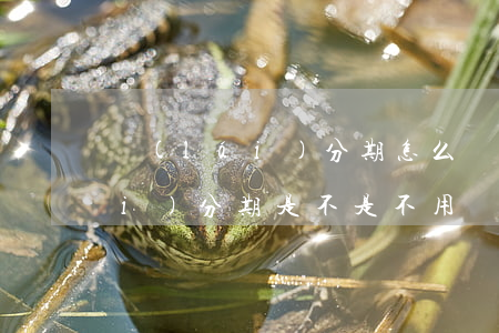 來(lái)分期怎么還款還不了(來(lái)分期是不是不用還了)