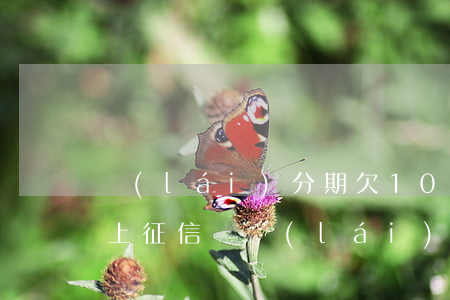 來(lái)分期欠1000會(huì)上征信嗎(來(lái)分期真的上征信嗎?)