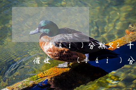 來(lái)分期欠2千會(huì)上門催收嗎(來(lái)分期欠幾百會(huì)上門收款)