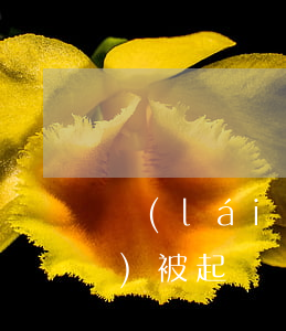來(lái)分期欠5000元會(huì)被起訴嗎-來(lái)分期欠5000元會(huì)被起訴嗎