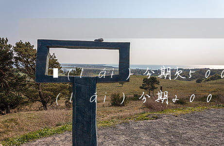 來(lái)分期欠5000多久起訴(欠來(lái)分期2000會(huì)不會(huì)起訴)