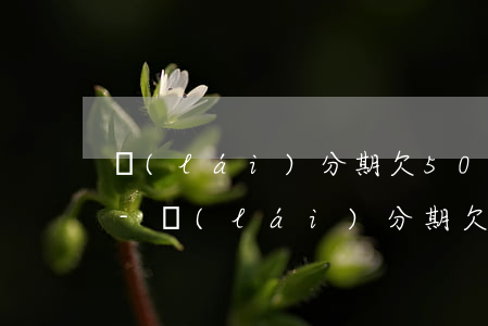 來(lái)分期欠500元還不起怎么辦-來(lái)分期欠500塊錢不還會(huì)怎么樣