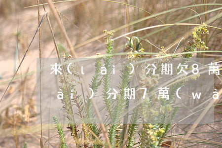 來(lái)分期欠8萬(wàn)(來(lái)分期7萬(wàn)逾期4年)