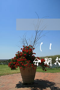 來(lái)分期欠9000(來(lái)分期欠4萬(wàn)逾期3年)