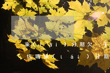 來(lái)分期欠一千會(huì)上征信嗎(來(lái)分期每筆都上征信嗎)