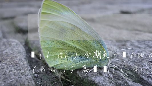 來(lái)分期欠一萬(wàn)不還會(huì)怎樣(來(lái)分期借了一千不還會(huì)怎么樣)
