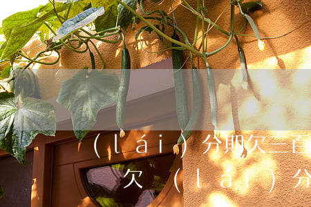 來(lái)分期欠三百多會(huì)起訴嗎(欠來(lái)分期三千塊錢(qián)會(huì)起訴嗎)