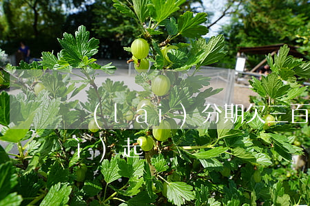 來(lái)分期欠三百多逾期了會(huì)起訴嗎