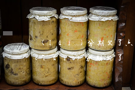 來(lái)分期欠了六萬(wàn)五(來(lái)分期欠了兩萬(wàn))