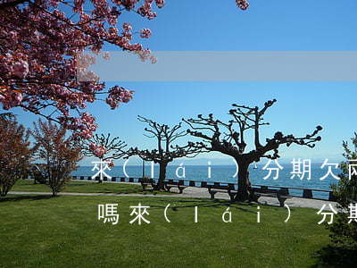 來(lái)分期欠兩萬(wàn)五起訴嗎(來(lái)分期欠款2千多會(huì)被起訴嗎)