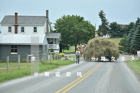 來(lái)分期欠多久才失信人(失信人能分期還款嗎)