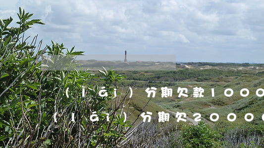 來(lái)分期欠款1000逾期一年(來(lái)分期欠20000逾期半年)