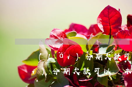來(lái)分期欠款可以還本金(來(lái)分期欠款可以還本金不)